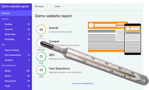 Website health check report