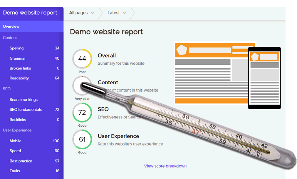 Website health check report